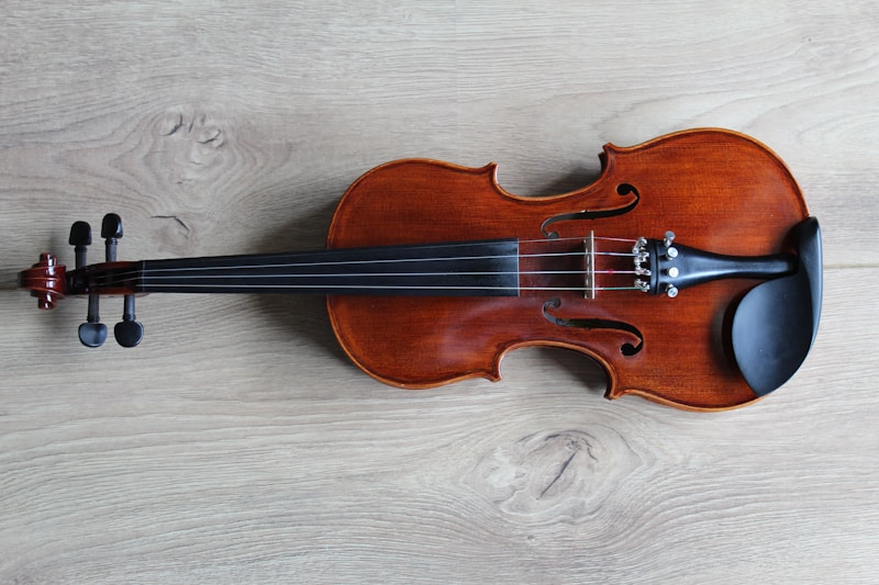 Stentor Violin